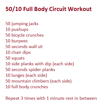 Full Body Circuit Workout  Circuit workout, Full body circuit